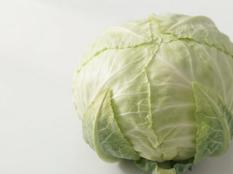 kapusta